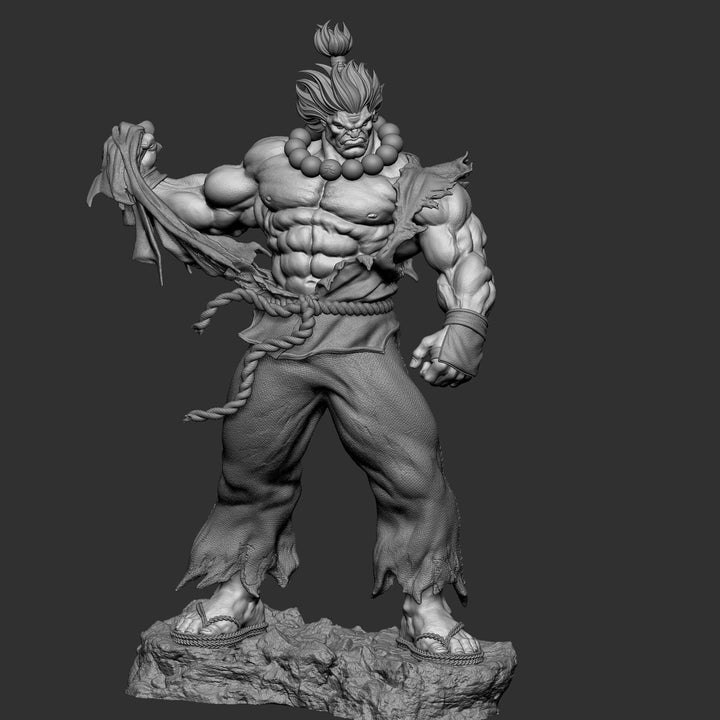 Akuma Street Fighter